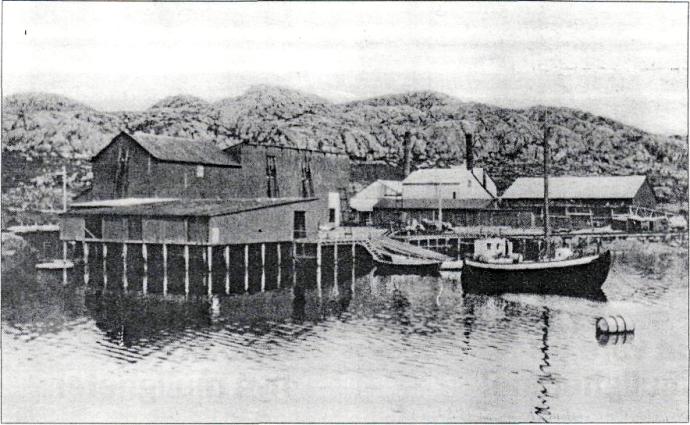 Hestnes hvalstasjon 1929