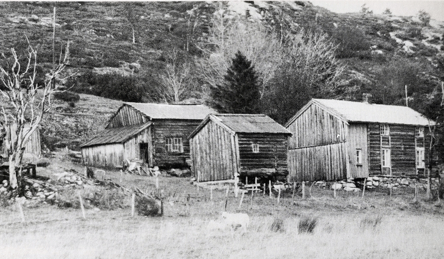 Haltland, Sandstad, Hitra