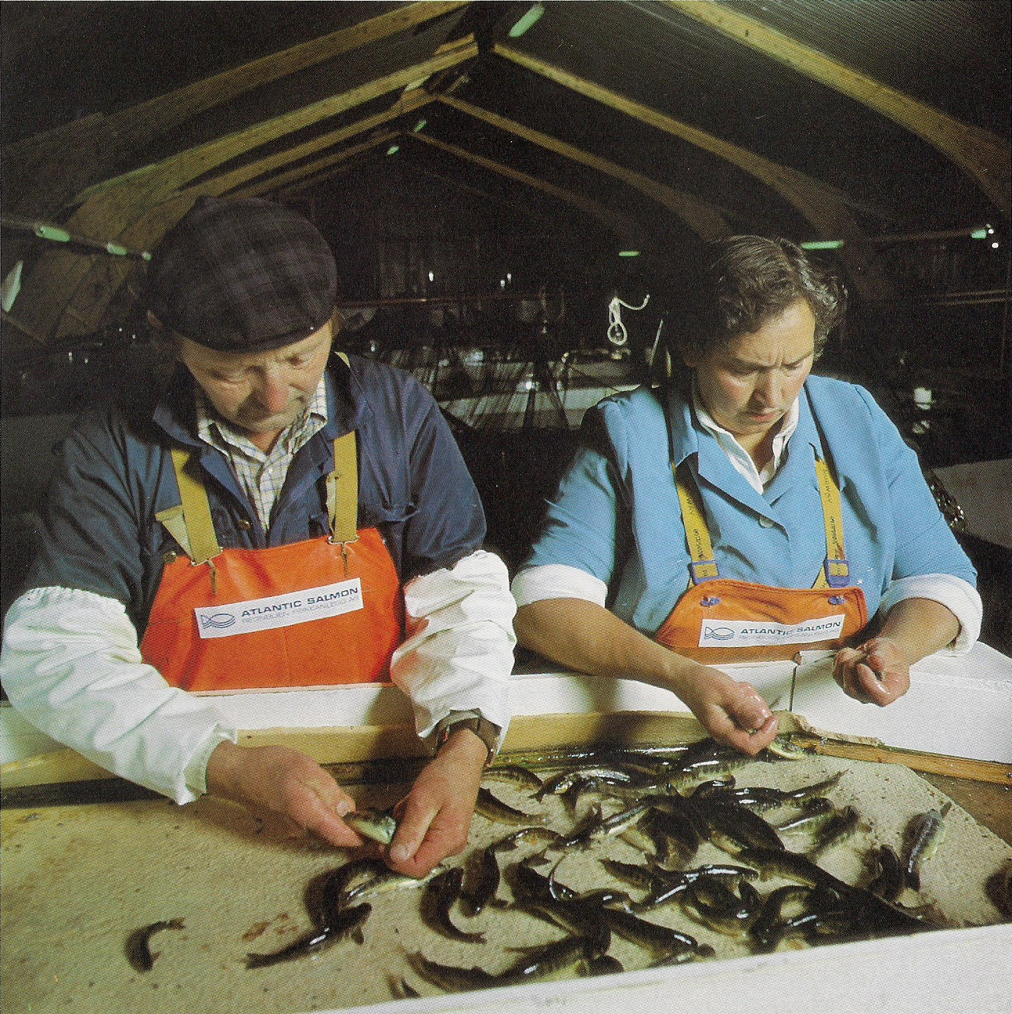 Ingrid og Johannes Kjønvik